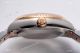 Swiss Clone Rolex Oyster Perpetual Datejust President Watch Chocolate Diamond Dial 31mm (6)_th.jpg
